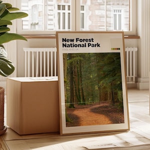 New Forest National Park Travel Poster II - UK Travel Photography - England National Park Print - New Forest Photo Wall Art | Traveler Gift