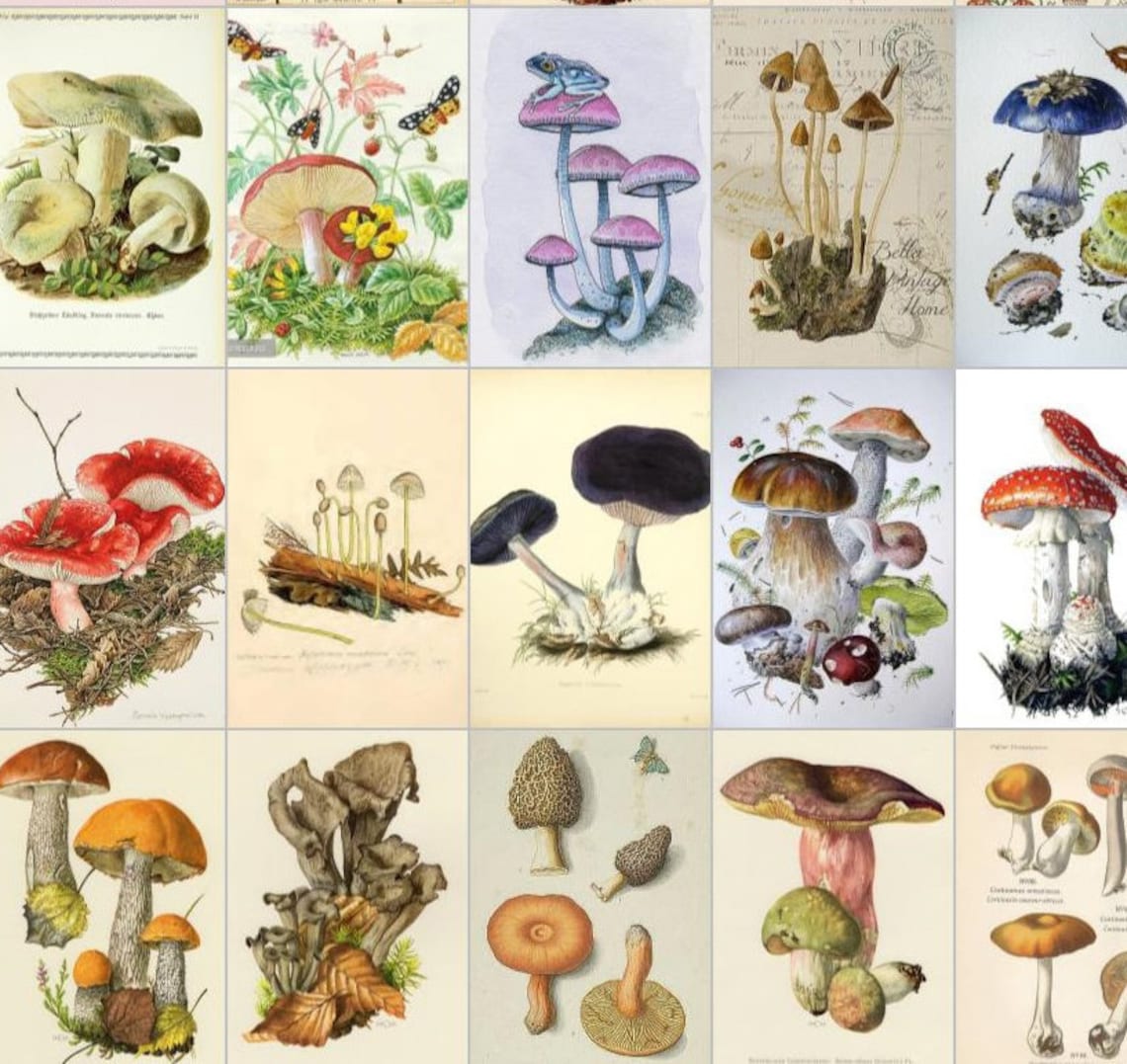 Mushroom collage kit Botanical wall collage kit Cottagecore Etsy