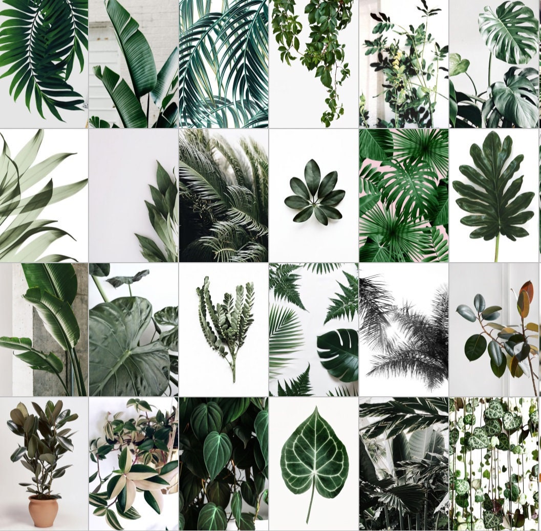Green plant collage kit Wall collage kit Aesthetic room decor Etsy