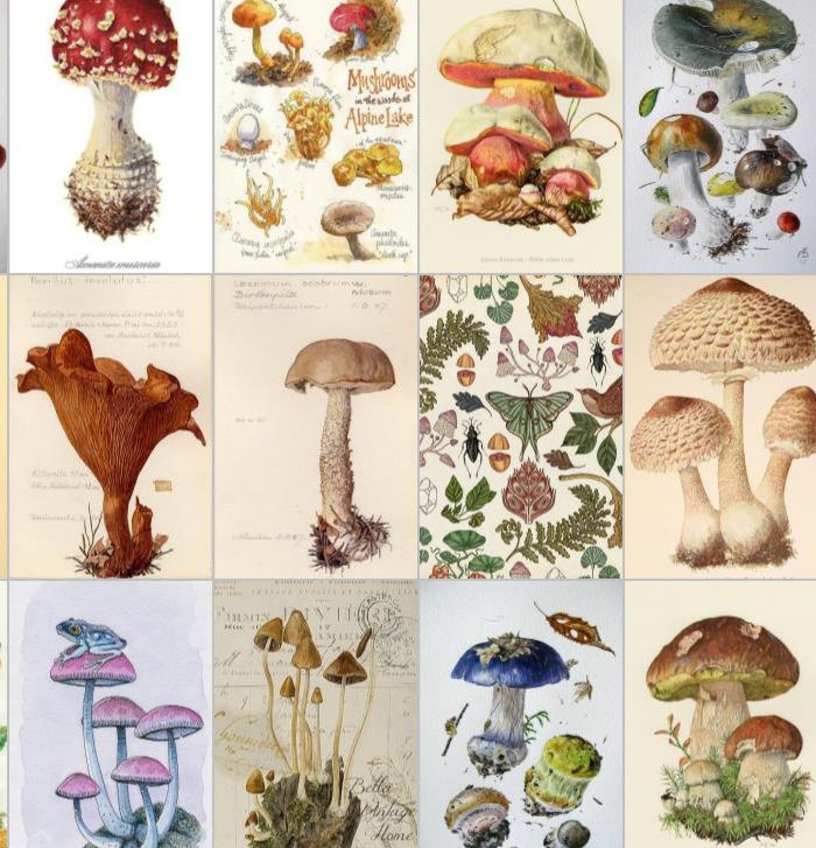Mushroom collage kit Botanical wall collage kit Cottagecore Etsy
