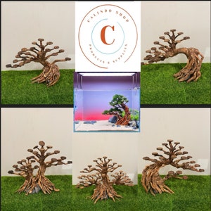Mini Driftwood Bonsai Tree: Aquarium & Terrarium Decor - Handmade