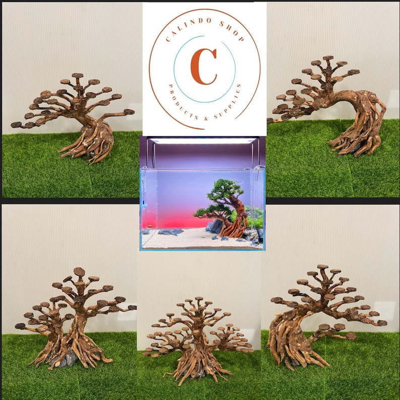 Mini Driftwood for Terrarium Aquarium Aquascape Bonsai Tree Etsy