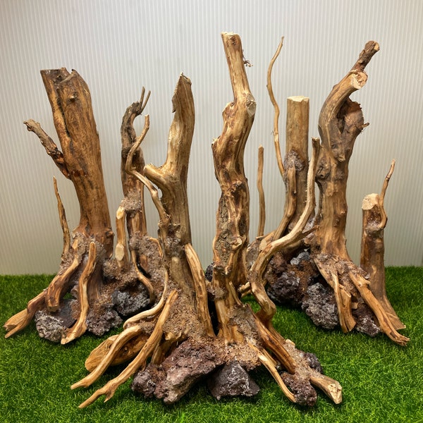 Aquarium Decoration With Driftwood photo
