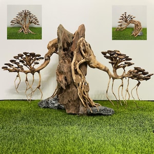 May include: A decorative bonsai tree with a natural wood base and multiple branches. The tree is made of driftwood and has a realistic appearance. The tree is set on a bed of green grass.