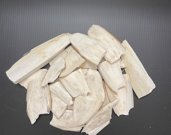 8 oz Natural Cuttlebone Pieces: Bird, Reptile, Isopods & Turtle Calcium Supplement (Broken Pieces)