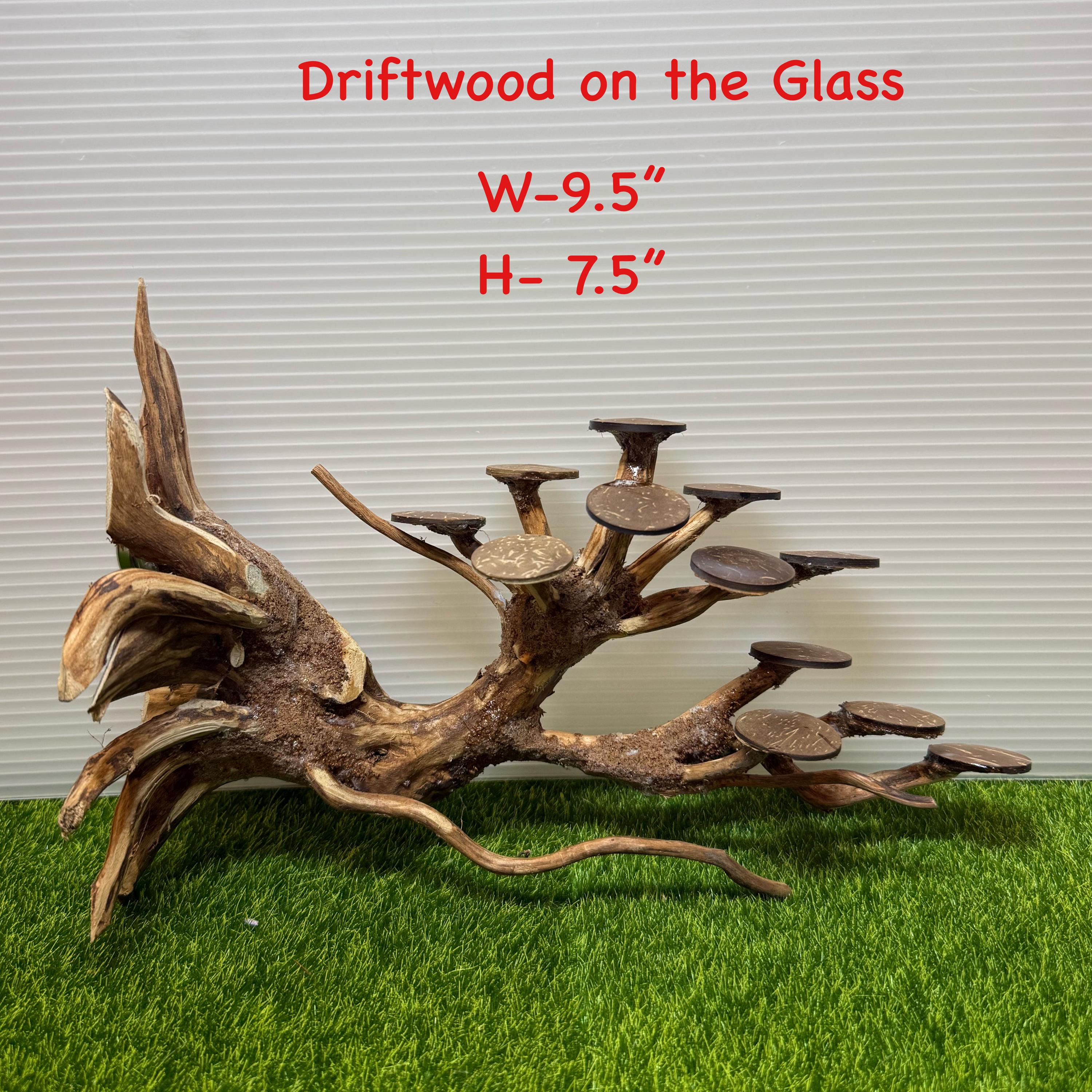 Aquarium Driftwood Hardscape Tree Aquarium for Small Fish Tank - Etsy