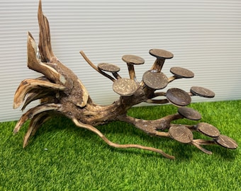 Árbol de madera flotante para acuario, ideal para peceras pequeñas.