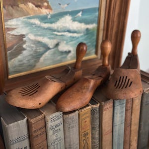 May include: Three vintage wooden shoe forms with handles rest on a stack of antique books. The books have aged covers and titles like "Men of Albemarle" and "Raleigh's Eden." A framed seascape painting with seagulls is in the background.