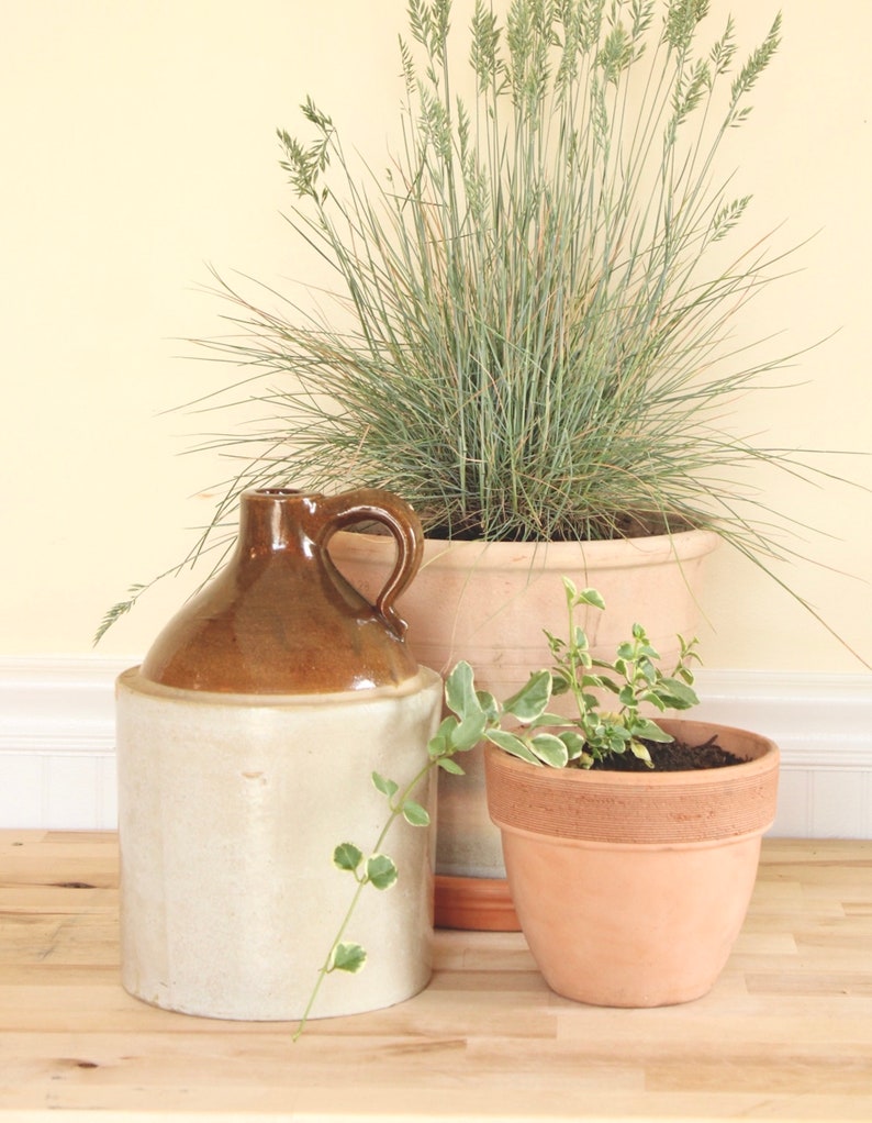 19th Century Glazed Antique Stoneware Jug Brown Vintage Crock Floral Arrangement Farmhouse Vase Flower Vessel Farmhouse Country Chic Decor image 7