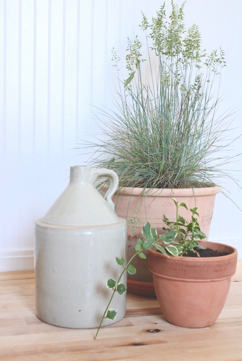 19th Century Antique Stoneware Jug Cream Antique Vintage Crock Old White Glazed Floral Arrangement Display Vase Flower Vessel Milk Jug image 1