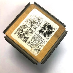Stampendous  Faux Finish Quad Cube Stamp Textures Crinkles Wrinkles Moss