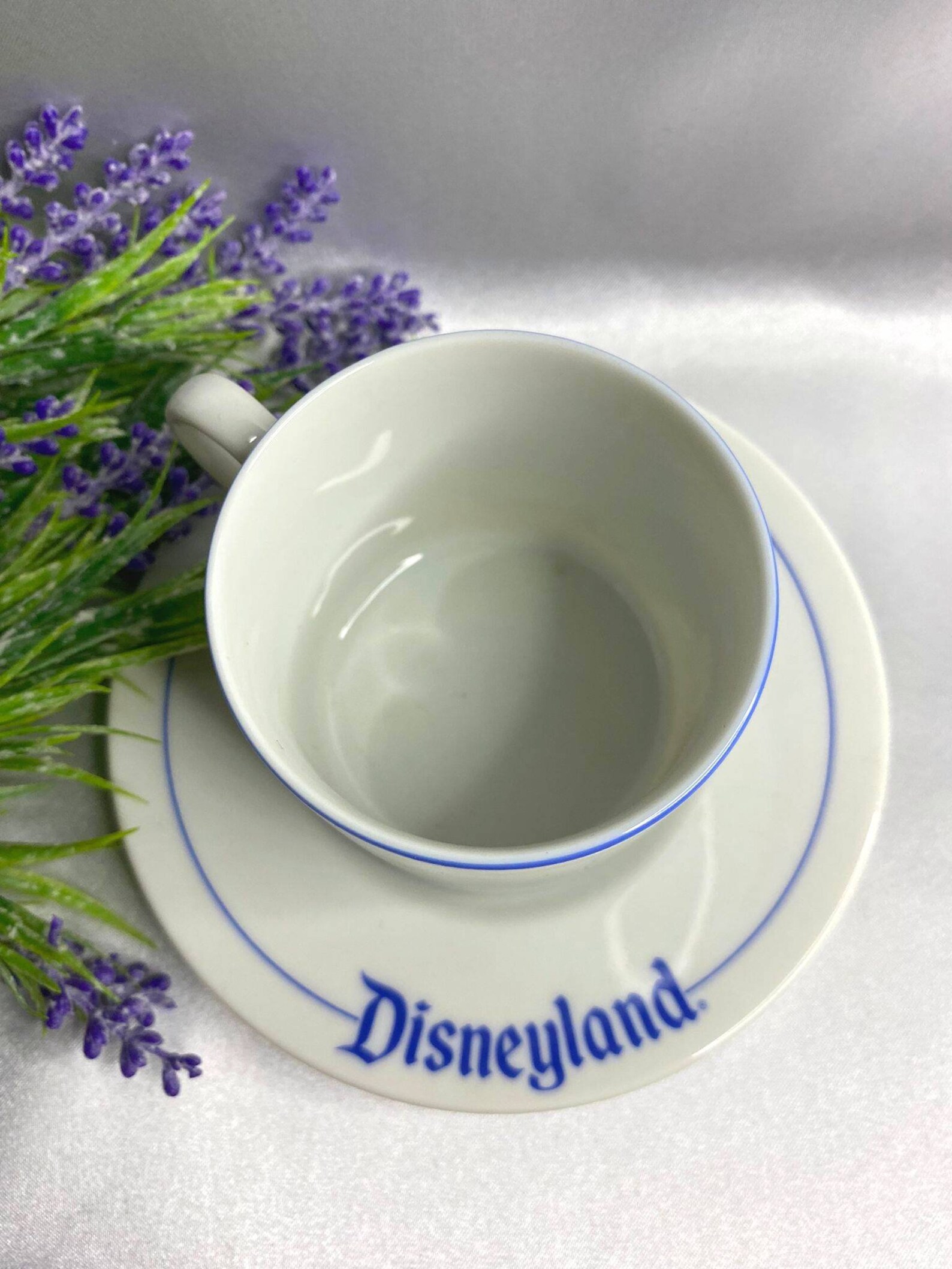 Walt Disney Disneyland tea cup and saucermade in Etsy