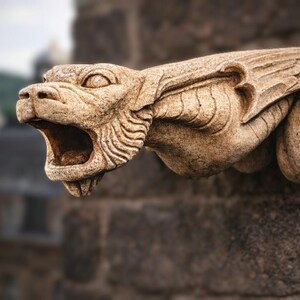 Peut inclure: Une sculpture de gargouille en pierre beige représentant une tête féline avec la gueule ouverte, des yeux saillants et des ailes texturées. Cet élément architectural patiné présente des détails de fourrure sculptés sur un mur en pierre.