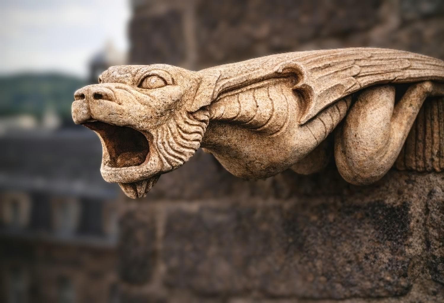 Large Gothic Gargoyle Wall Sculpture 50 Cm – Medieval