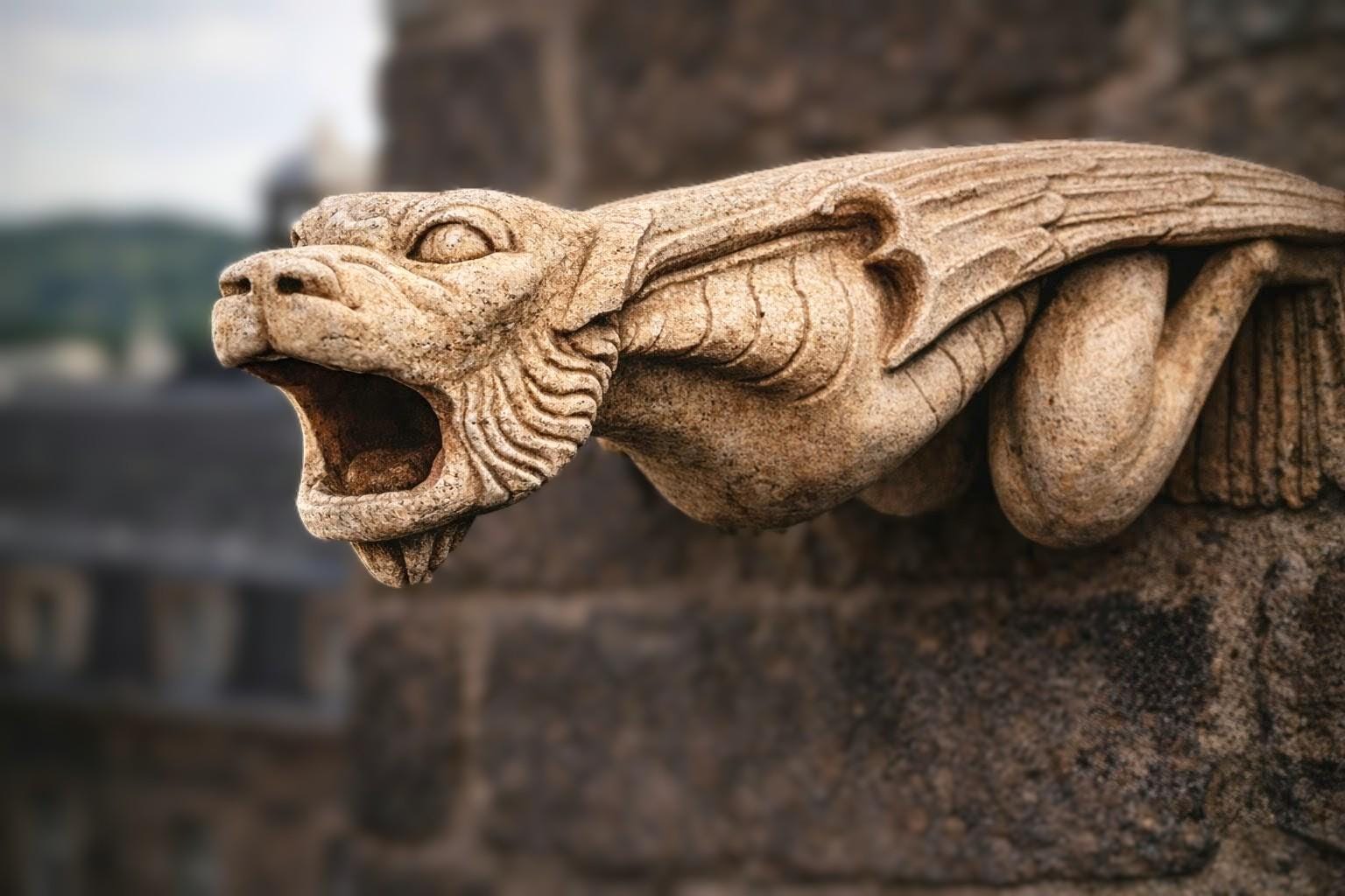 Large Gothic Gargoyle Wall Sculpture 50 Cm – Medieval