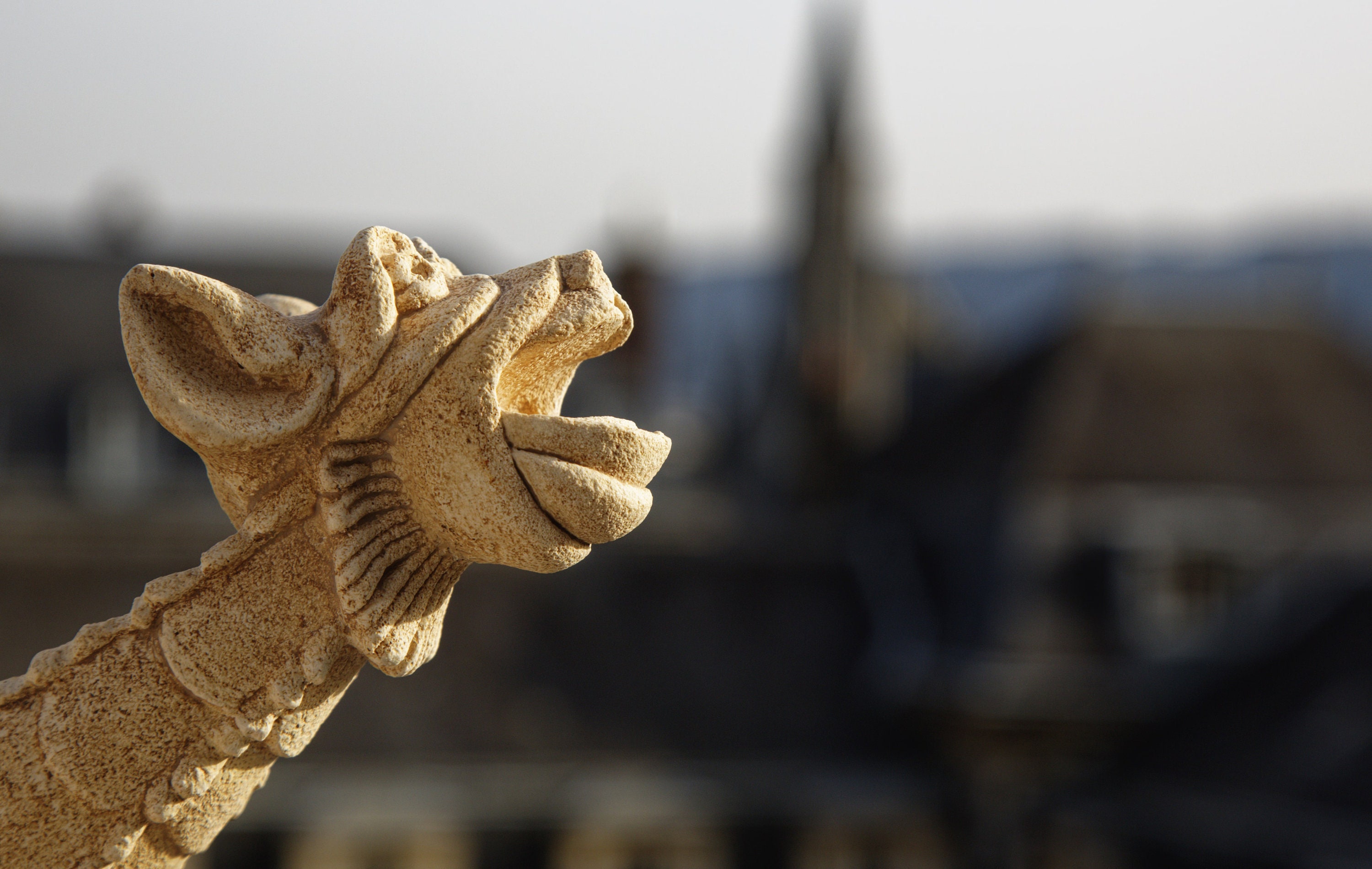 Gargouille Sculpture sur Pierre