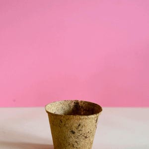Puede incluir: Una pequeña maceta marrón biodegradable con una superficie texturizada. La maceta está vacía y se encuentra sobre una superficie blanca contra un fondo rosa. Ideal para iniciar semillas o plantas pequeñas.