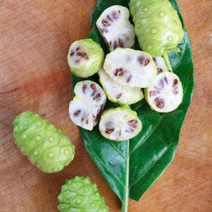 Noni (Morinda citrifolia)