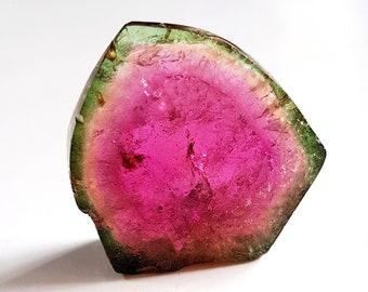 26.35 cts Watermellon tourmaline big size polished slices set of 2 pieces set weight