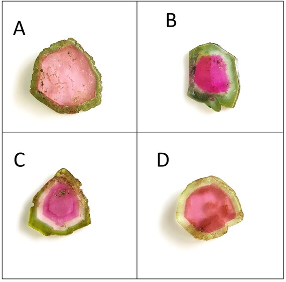 Watermelon tourmaline outlet slices wholesale