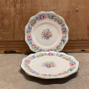 May include: Two white ceramic plates with a floral design. The plates have a scalloped edge and a gold rim. The floral pattern includes pink, blue, and yellow flowers. The plates are on a gray surface.