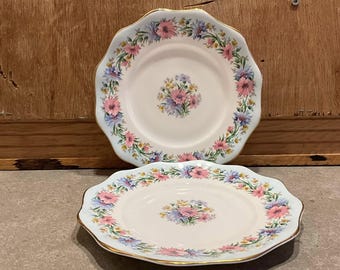 May include: Two white ceramic plates with a floral design. The plates have a scalloped edge and a gold rim. The floral pattern includes pink, blue, and yellow flowers. The plates are on a grey surface.