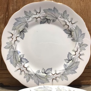 2 Royal Albert – Silver Maple – Dinner Plate Set Bone china Made in England