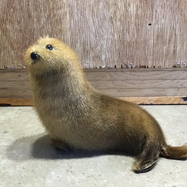 Vintage Seal Sculpture Made of Real Fur