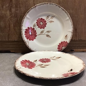 2 Vintage Luncheon Plates by Royal Art Pottery Red Floral Pattern Made in England
