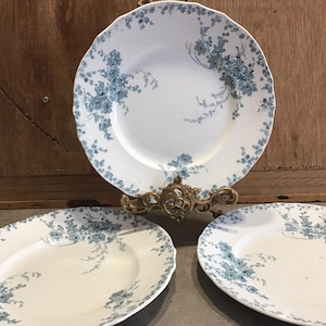 Antique Alfred Meakin Hanwell Plates: Royal Semi Porcelain Dinnerware, Set of 3