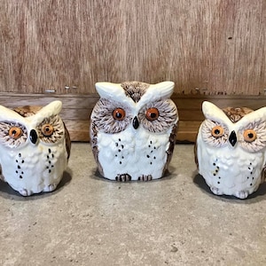 Vintage Owl Salt and Pepper Shakers with Napkin Holder: Enesco Japan Ceramic Set