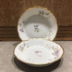 2 GDA Limoges Servierschalen mit Blumen Haviland Limoges Made in France