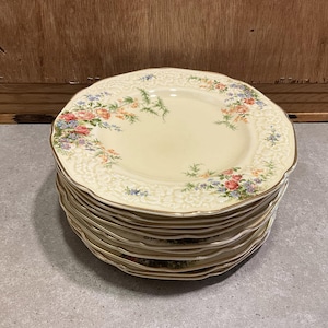 May include: A stack of 10 cream-colored dinner plates with a floral pattern in shades of pink, yellow, and blue. The plates have a gold trim around the edge.