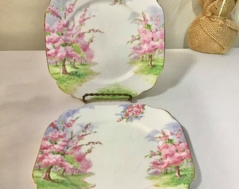 Vintage Set of 2 Royal Albert "Blossom time " Salad or Dessert Plates