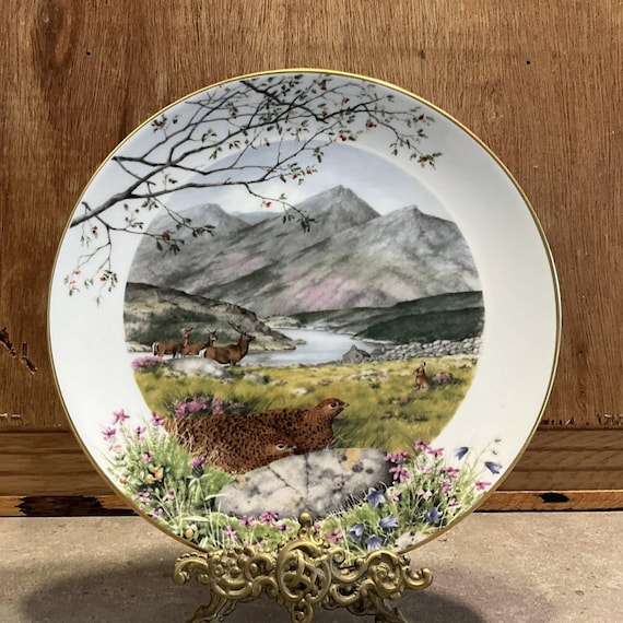 【希少1951年製】 Worcester 金彩キャビネットプレート 額 Royal Worcester 