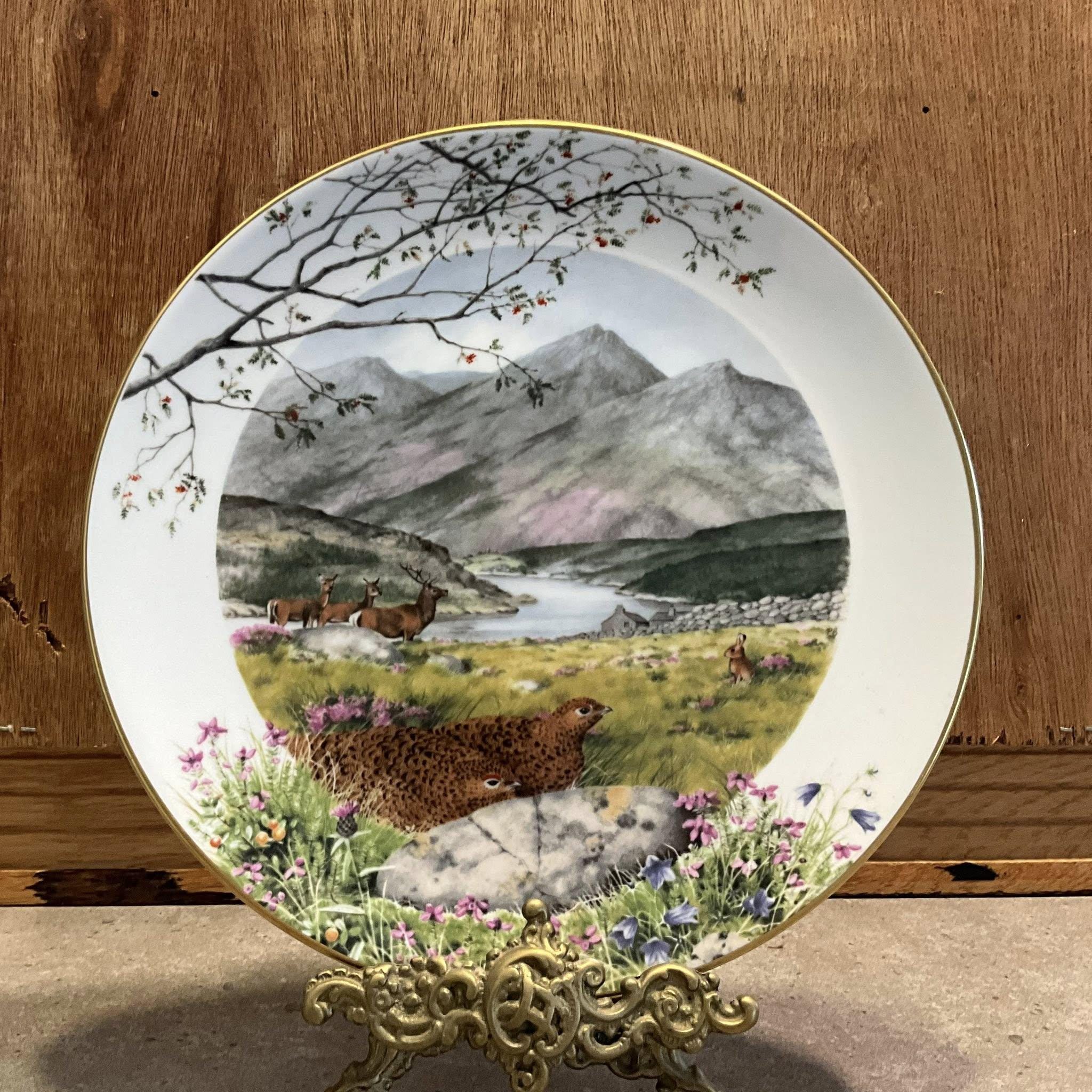 Royal Worcester 