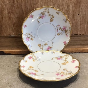2 Antique Limoges Plates, *Elite Limoges Plates, Floral, Gold, Limoges France, Wedding Gift, Cottage Style, Collectible, Granny Chic