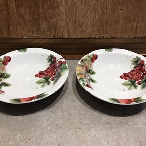 2 assiettes vintage Raisins par Royal Doulton fabriquées en Angleterre Porcelaine fine