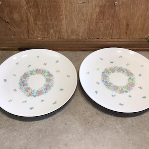 2 Vintage Rosenthal Studio Line Germany Dinner Plates Floral