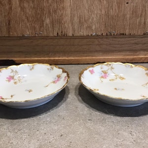 2 Antique Limoges Plates, *Elite Limoges Plates, Floral, Gold, Limoges France, Wedding Gift, Cottage Style, Collectible, Granny Chic