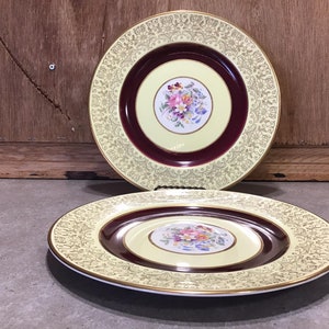 2 Vintage 1930s Johnson Brothers Hand Decorated Dinner Plates Pareek Ironstone Made in England