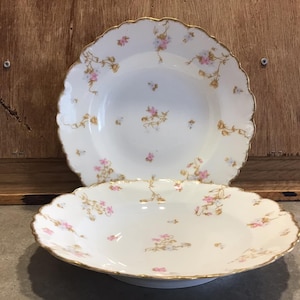 2 Antique Limoges Plates, Elite Limoges Plates, Floral, Gold, Limoges France, Wedding Gift, Cottage Style, Collectible, Granny Chic