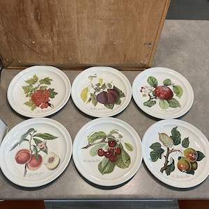 Vintage Portmeirion Pomona Dinner Plate: England Oven-to-tableware