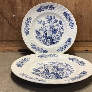Royal Wessex Indian Tree Dinner Plates (Set of 2) - Blue and White China
