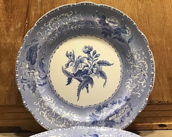 2 Antike Spode Copeland Camilla Blaue und Weiße Teller Made in England.