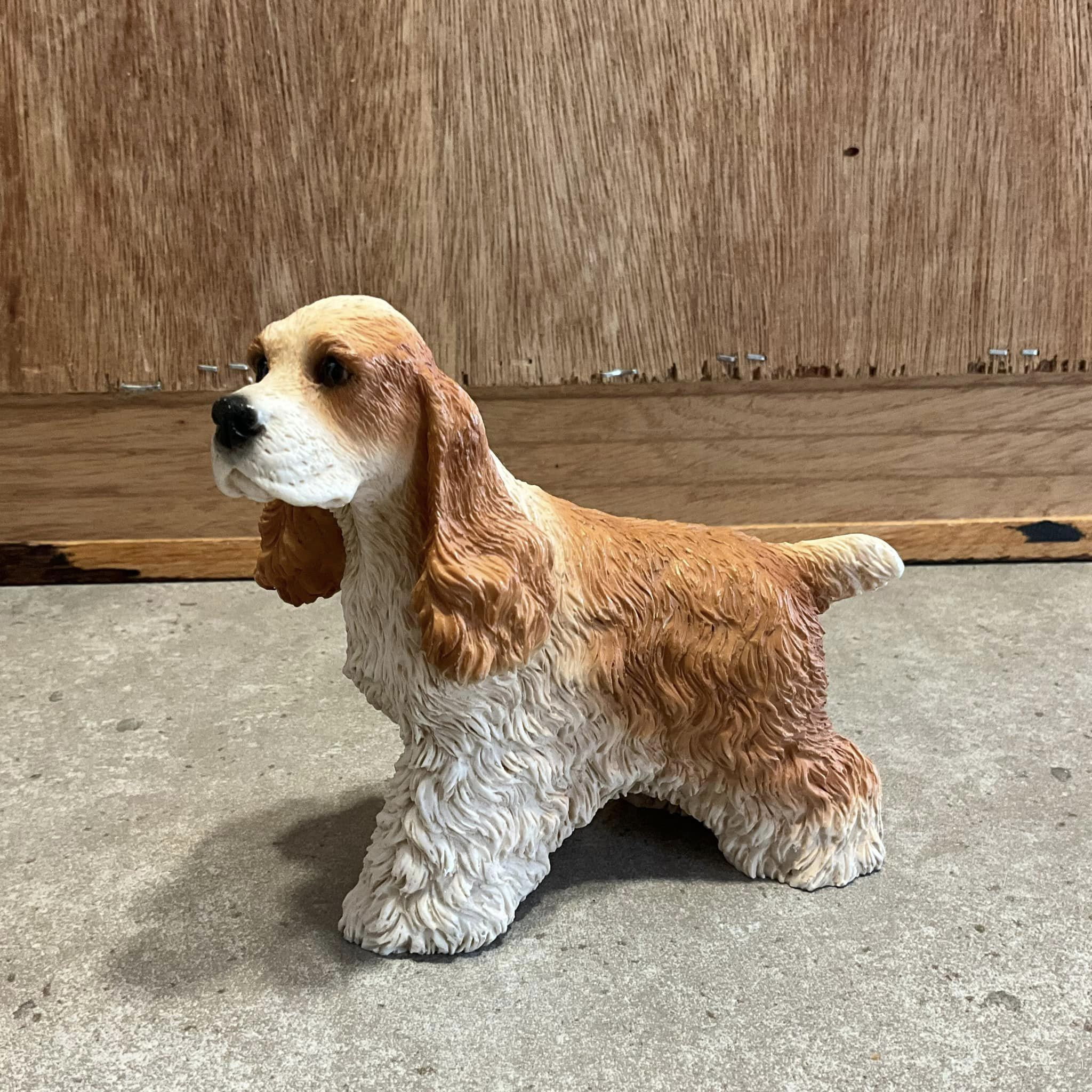 Chien Cocker Spaniel Anglais Prunch des Felicuncan