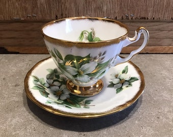 Vintage Royal Adderley Canadian Provincial Flowers Tea Cup & Saucer Dogwood Made in England