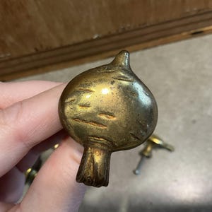 May include: A brass cabinet knob shaped like a beetroot. The knob features a rounded body with etched lines and a stem. The brass has a warm, aged patina. Other brass knobs are visible in the background.
