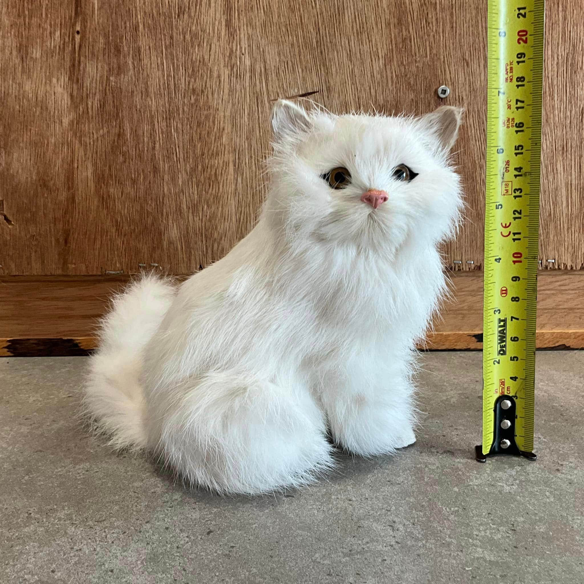 リアルな白い猫のぬいぐるみ：子猫用ペットおもちゃ - Etsy 日本