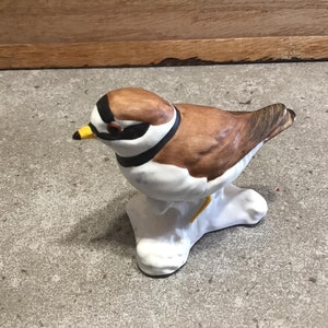 Vintage Goebel Ringed Plover Porcelain Bird Figurine #38138 West Germany
